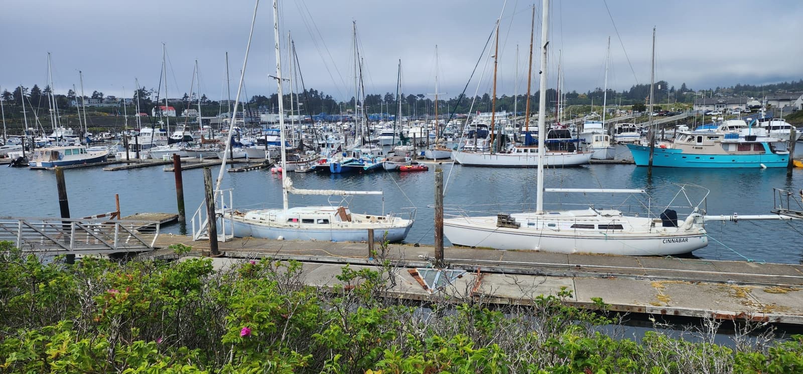 Oil-Spill Response - Industrial Demolition & Site Cleanup